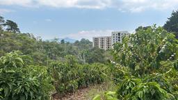 cul de sac residential development lot view 024