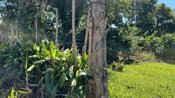 convert coffee farm into a mixed use development complex view 005