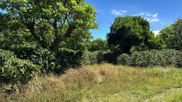 coffee estate construction site in santo domingo view 004
