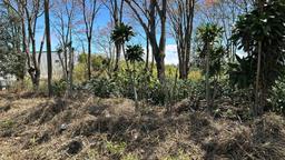 vacant lot under protected zone for development on route 32 san jose view 002