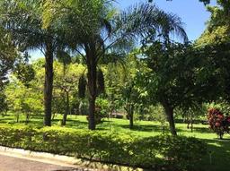 country estate for sale in alajuela view 009