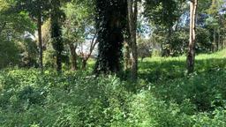 land for residential development in lomas de ayarco view 009