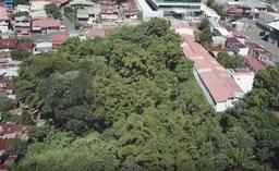 urban development site in sabana view 009