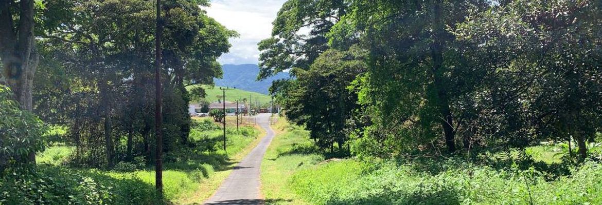 land for residential development in lomas de ayarco view 004