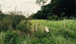 site for new development in santa ana view 005