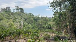 cul de sac residential development lot view 020