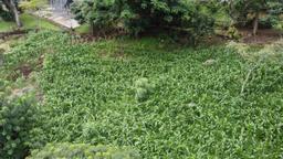 land with structures for wildlife rescue center in santa ana view 008