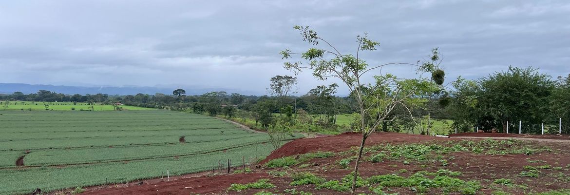 land for development 20 minutes from la fortuna view 006