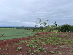 land for development 20 minutes from la fortuna view 006