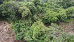 land with structures for wildlife rescue center in santa ana view 016