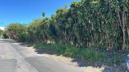 coffee estate construction site in santo domingo view 006