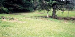 rectangular shaped lot for development view 005