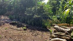 land for construction project in hacienda vieja view 005