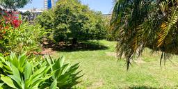 commercially zoned house for sale in sabana view 018
