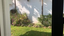 commercial use house for sale in san pedro view 033