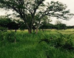 site for new development in santa ana view 004