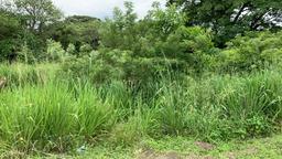 prairie land for creative development view 004