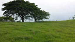 residential development site in alajuela view 008
