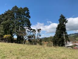 land for industrial development near cartago city view 004