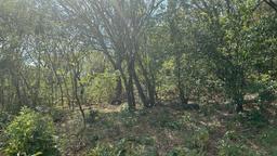 santa ana route 27 frontage 8 8 acre parcel buy one or all three parcel view 013