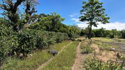 coffee estate construction site in santo domingo view 007