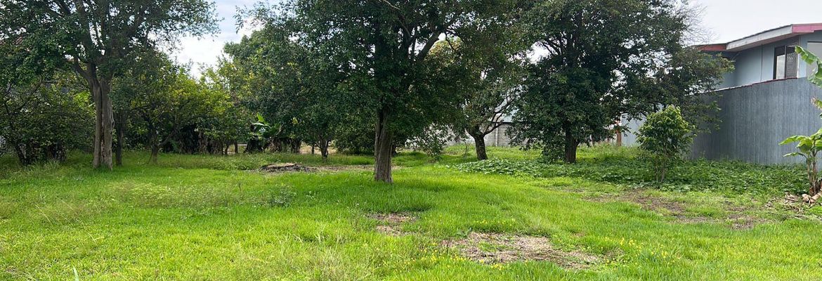 lot for development in the town of moravia view 007