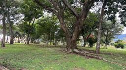 urban development site in sabana view 006