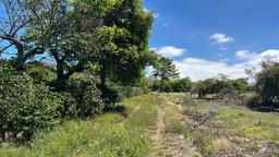 coffee estate construction site in santo domingo view 002