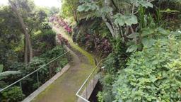 land with structures for wildlife rescue center in santa ana view 023