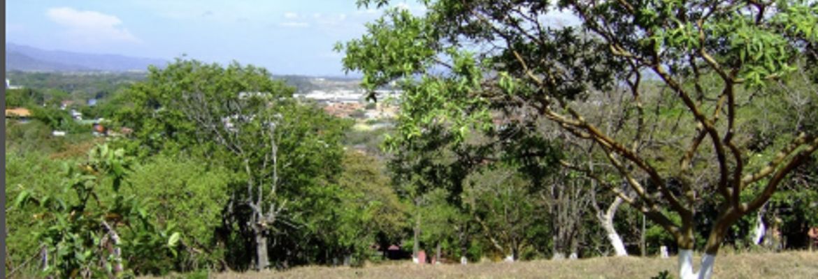 small farm in escazu for residentail development view 002