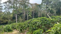 cul de sac residential development lot view 022