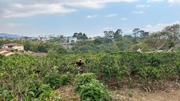 cul de sac residential development lot view 009