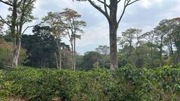 cul de sac residential development lot view 018