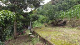 land with structures for wildlife rescue center in santa ana view 022