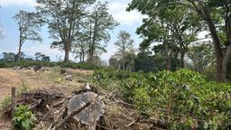 cul de sac residential development lot view 017