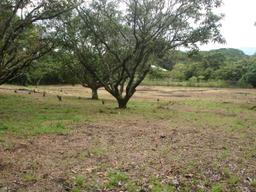 land for commercial or industrial development in alajuela view 006