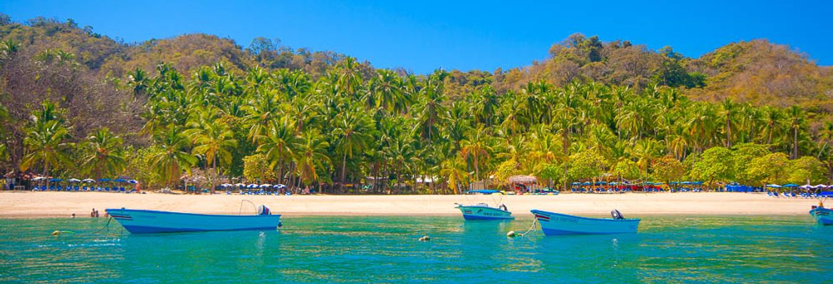 shoreline tortuga island 2