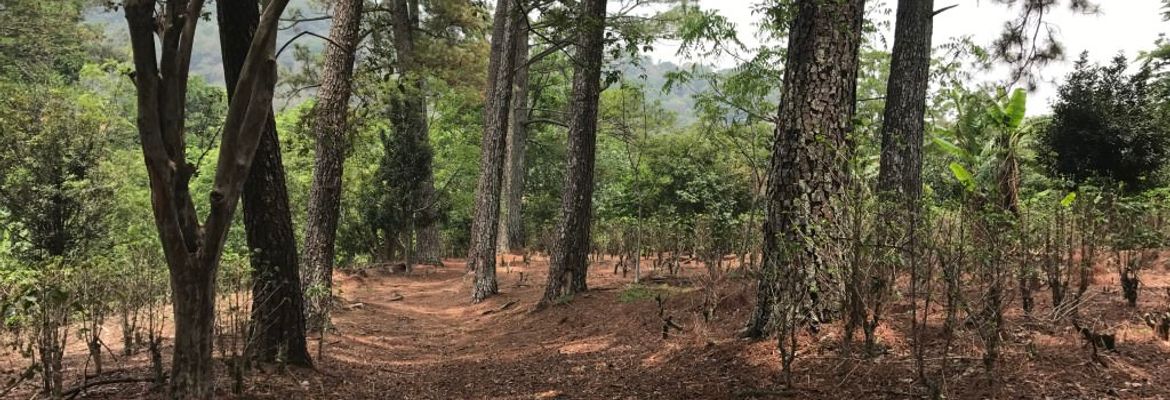 land for construction project in hacienda vieja view 012