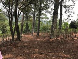 land for construction project in hacienda vieja view 012