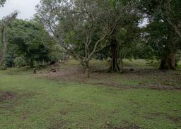 land for residential or industrial use near alajuela airport sjo view 009