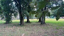 santa ana route 27 frontage 17 2 acre parcel buy one or all three parcel view 020