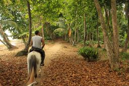 terraventuras beach horseback ride almond leaves 3