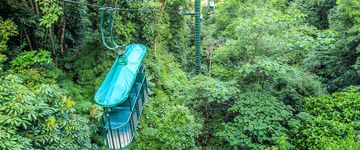 rainforest-adventures-aerial-tram-closeup-2