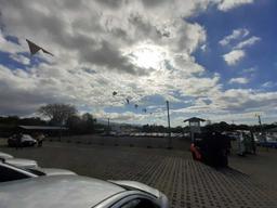 land for developmnet in the center of santo domingo view 002