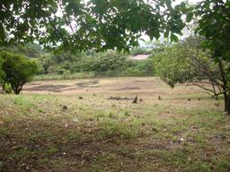 land for commercial or industrial development in alajuela view 002