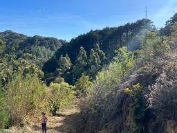 lots in the mountains of cartago for sale view 011