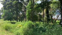 land for residential development in lomas de ayarco view 008