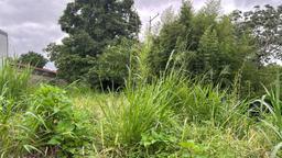 urban development site in sabana view 003