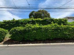 mixed used project ready parcel in mercedes view 005