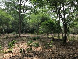 land for construction project in hacienda vieja view 009